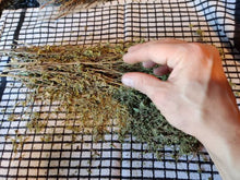 Load image into Gallery viewer, Athina Greek Organic Dried Oregano from Mount Olympus - No Additives and Fertilizers - Elevate the Flavor & Aroma of your Dishes and Lift your Mood with Pure 100% Natural Oregano Dried Herb 65g Free Shipping